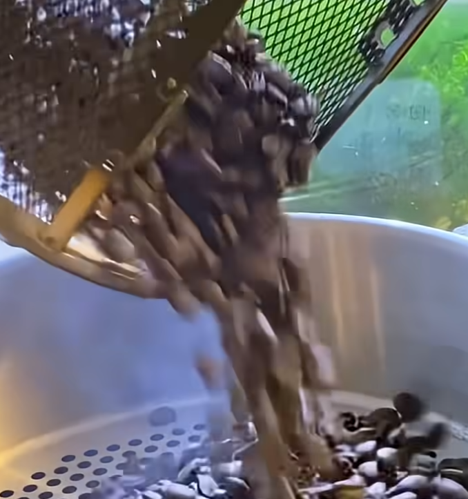 身体に優しい自家焙煎☕😋